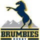 ACT Brumbies