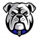 Canterbury Bankstown Bulldogs