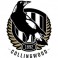 Collingwood Magpies