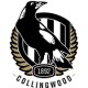 Collingwood Magpies