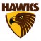 Hawthorn Hawks