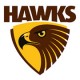 Hawthorn Hawks