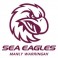 Manly Warringah Sea Eagles