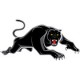 Penrith Panthers