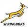 South Africa Springboks