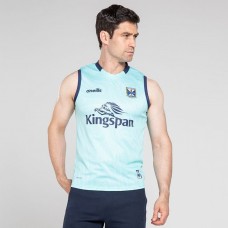 Cavan GAA Adult Training Vest 2024