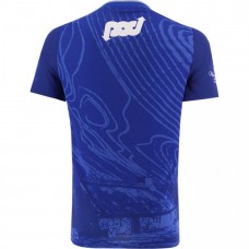 Clare GAA Adult Commemoration Jersey 2024