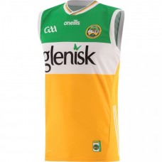 Offaly GAA 2 Stripe Adult Home Vest 2024