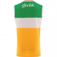 Offaly GAA 2 Stripe Adult Home Vest 2024