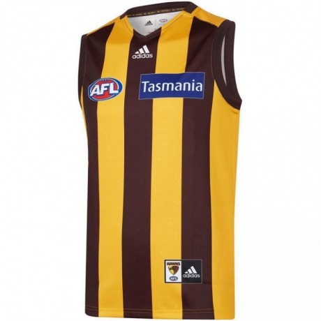 Hawthorn Hawks Mens Home Guernsey 2020
