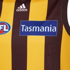 Hawthorn Hawks Mens Home Guernsey 2020