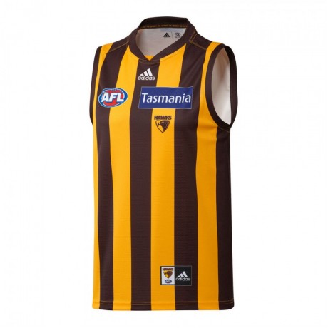 Hawthorn Hawks Mens Home Guernsey 2021