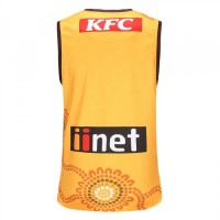 Hawthorn Hawks AFL Mens Indigenous Guernsey 2023